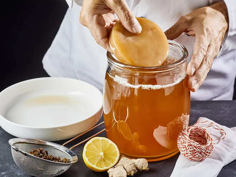 چای کامبوجا